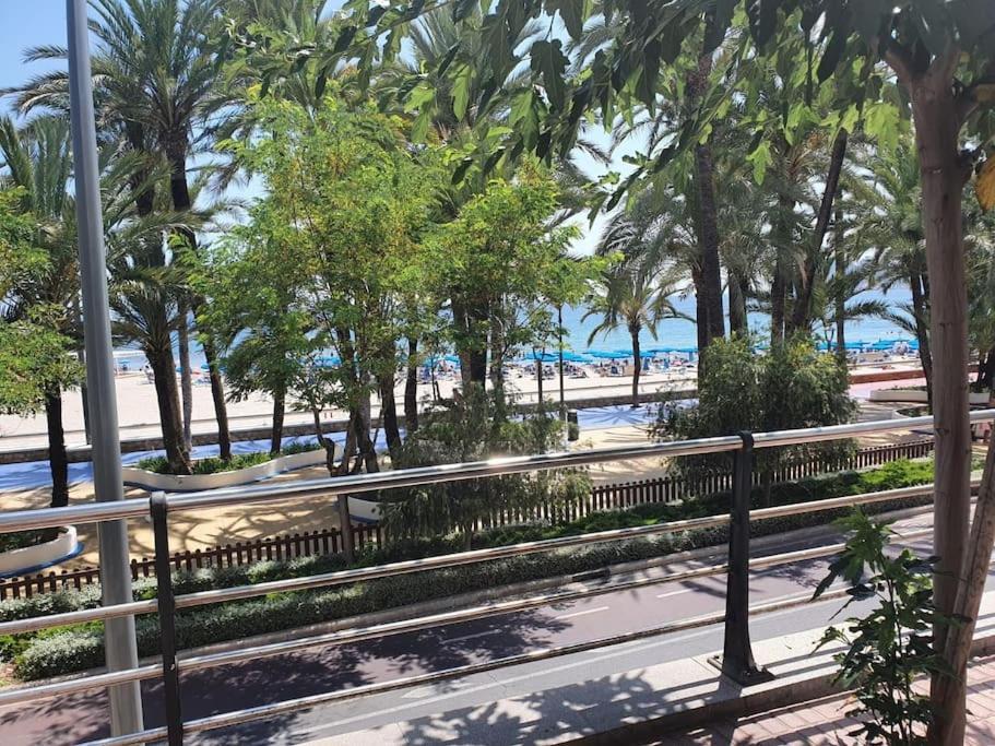 Apartment Primera Linea Playa *